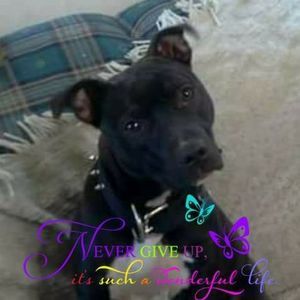 Meet your Posher, Johnny